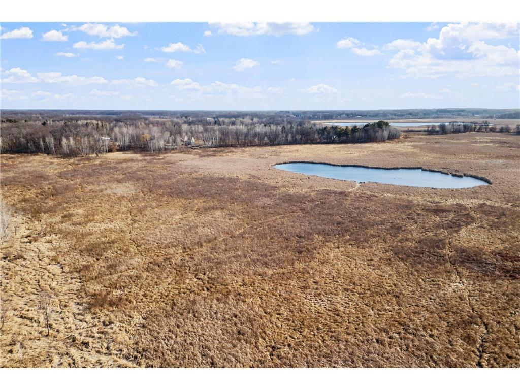 19479 Leyte Street NE East Bethel MN 55092 7037847 image12