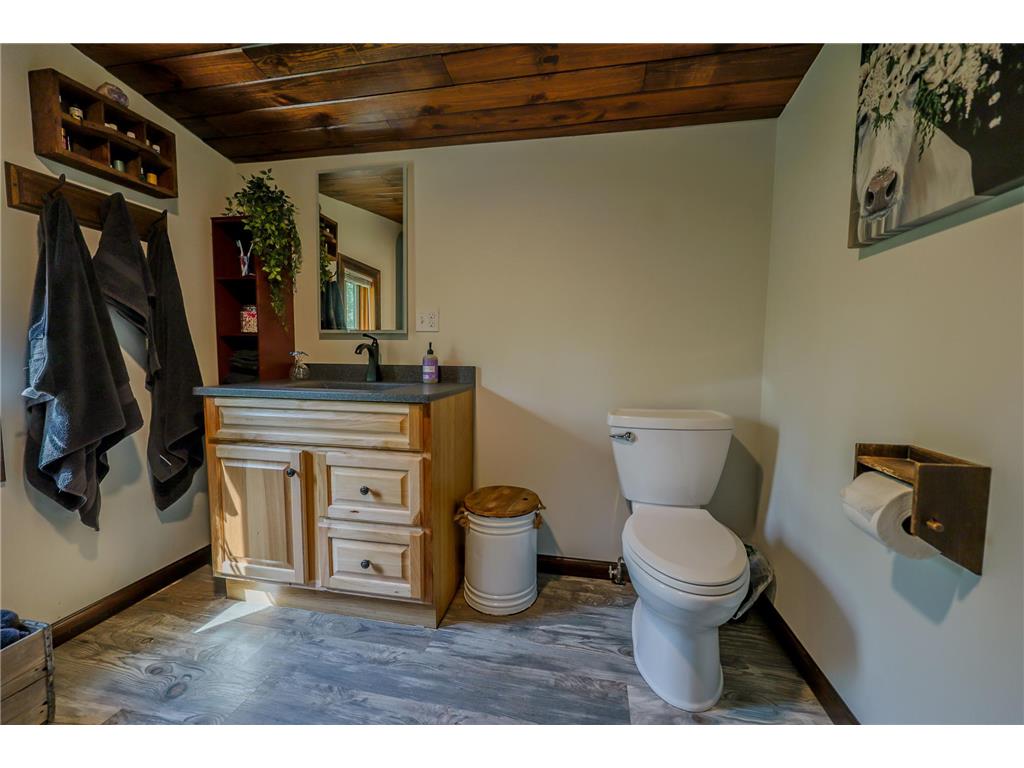 19488 County Road 125 Park Rapids MN 56470 - Shipman 7085456 image8