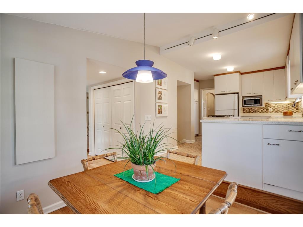 1949 E River Terrace Minneapolis MN 55414 7078761 image23