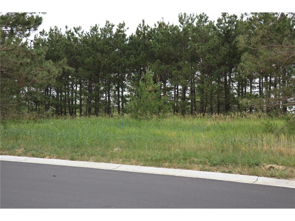 1949 Long Pine Drive Detroit Lakes MN 56501 6325184 image9