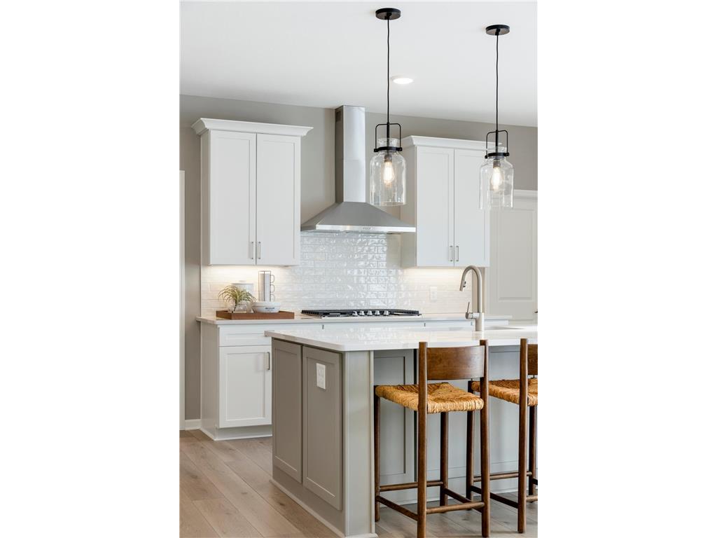 19503 105th Avenue Corcoran MN 55374 6796384 image44