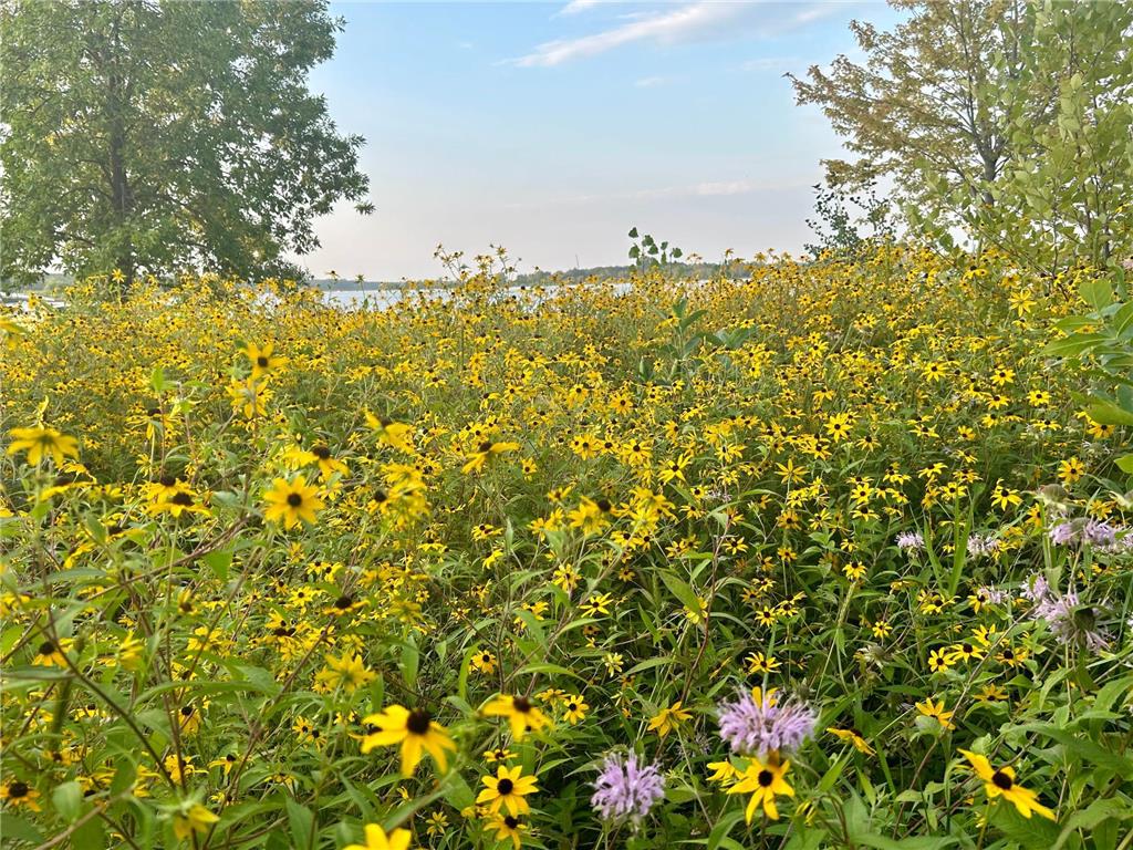 19512 Two Rivers Road Avon MN 56310 - Two Rivers 7031719 image41