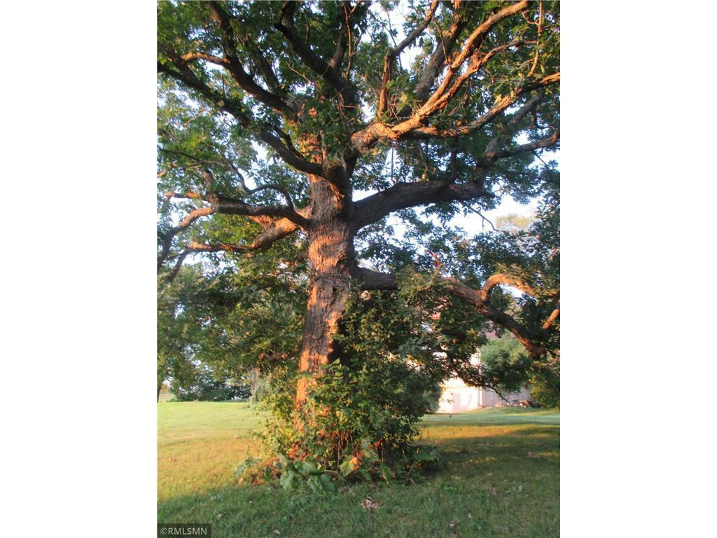 19516 Hampshire Court Prior Lake MN 55372 - Credit River 7028305 image25