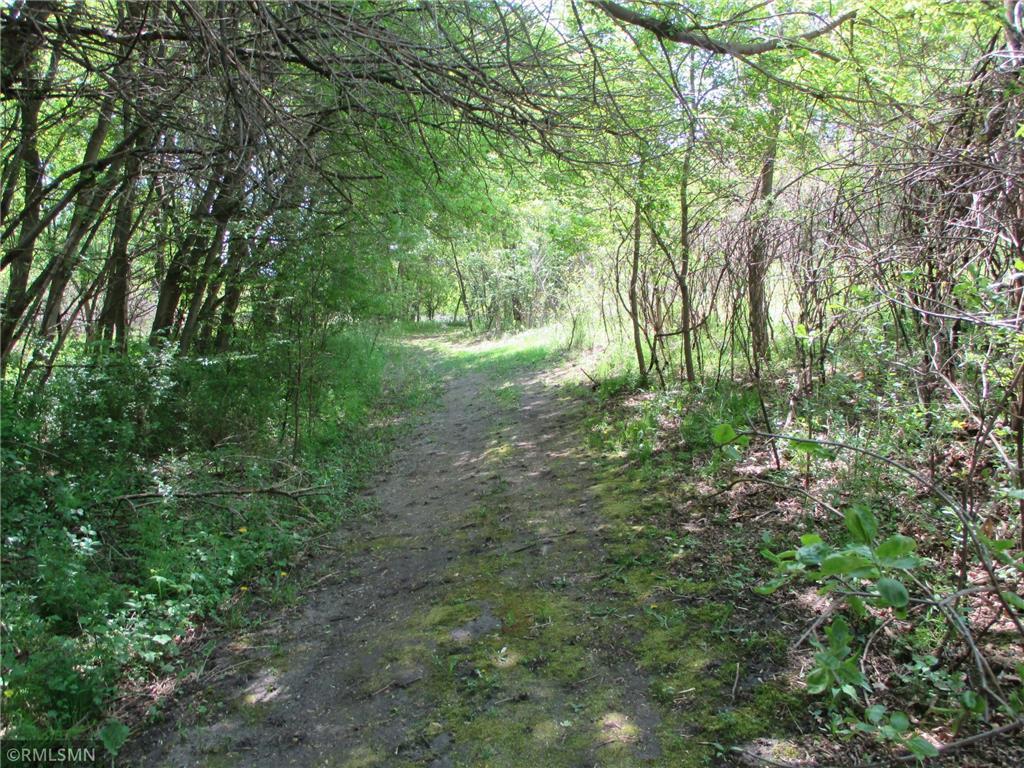 19516 Hampshire Court Prior Lake MN 55372 - Credit River 7028305 image4