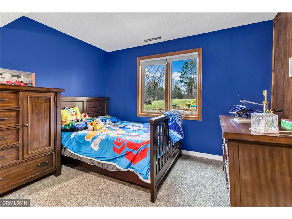 19525 Country Circle E Corcoran MN 55374 7053593 image48