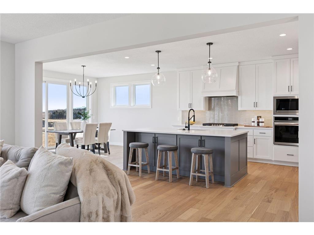 19546 Hammock Avenue Lakeville MN 55044 6814613 image4