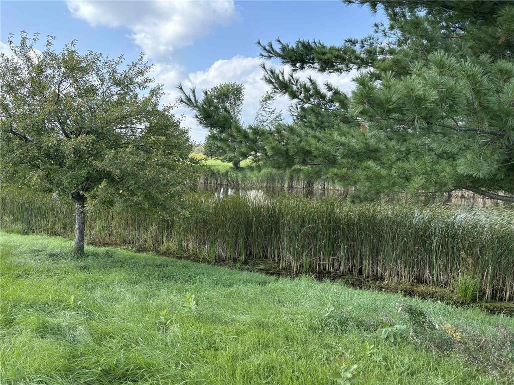 1955 Cattail Lane #Lot 8 New Richmond WI 54017 6818320 image28
