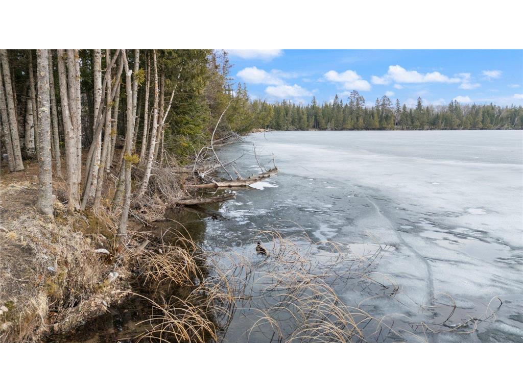 19555 County Road 452 Deer River MN 56636 - No-ta-she-bun 7055808 image29