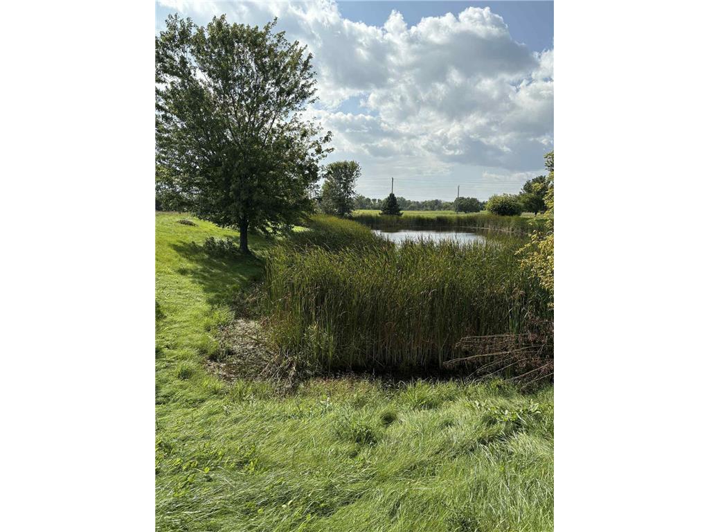 1957 Cattail Place #Lot 7 New Richmond WI 54017 6818331 image7