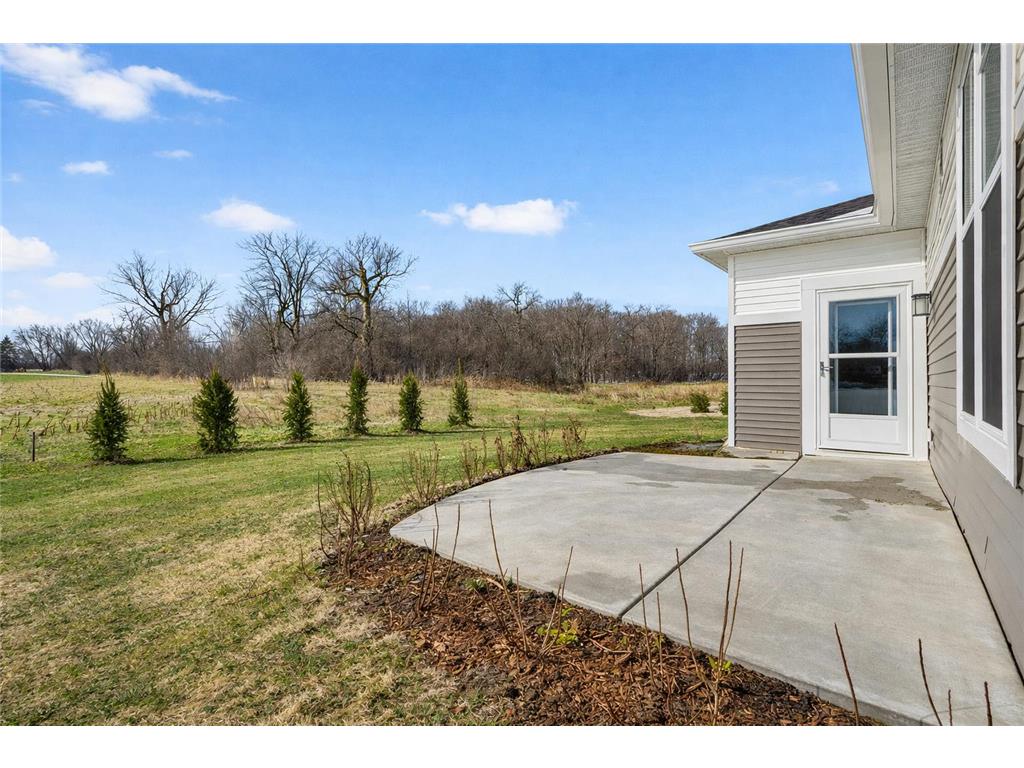 19572 102nd Place Corcoran MN 55374 7056990 image3