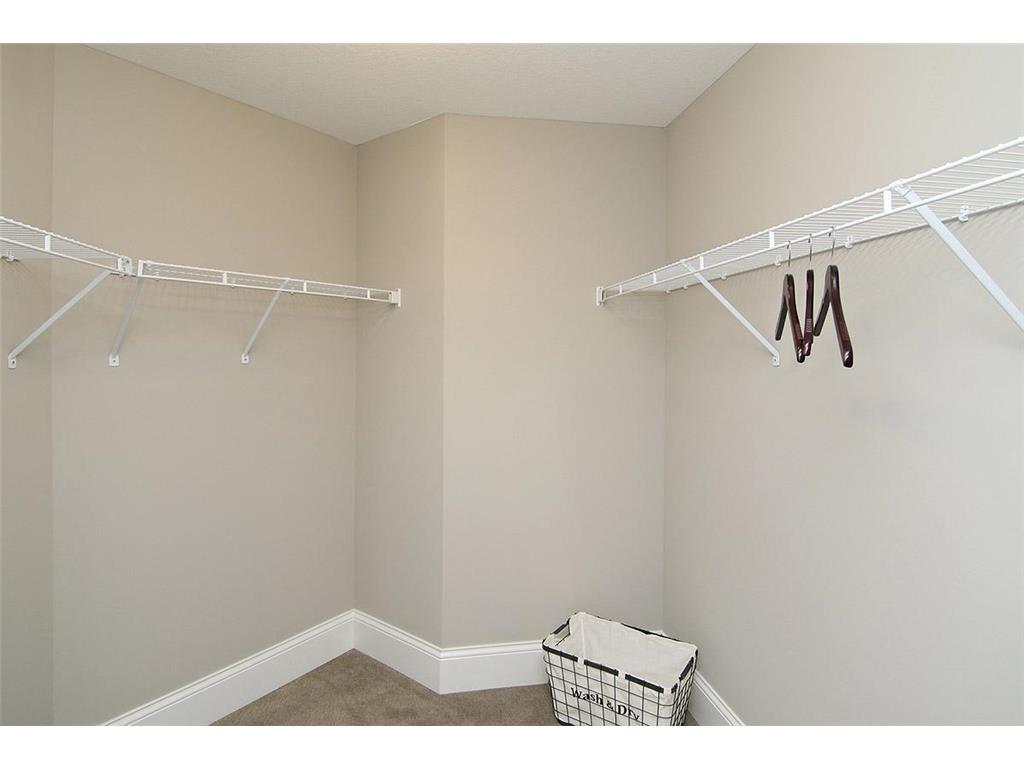 19587 Hammock Avenue Lakeville MN 55044 6716761 image18