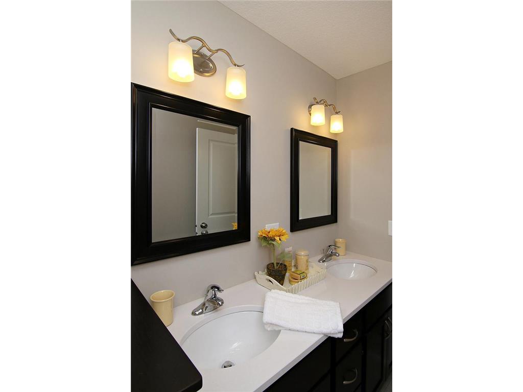 19587 Hammock Avenue Lakeville MN 55044 6716761 image19