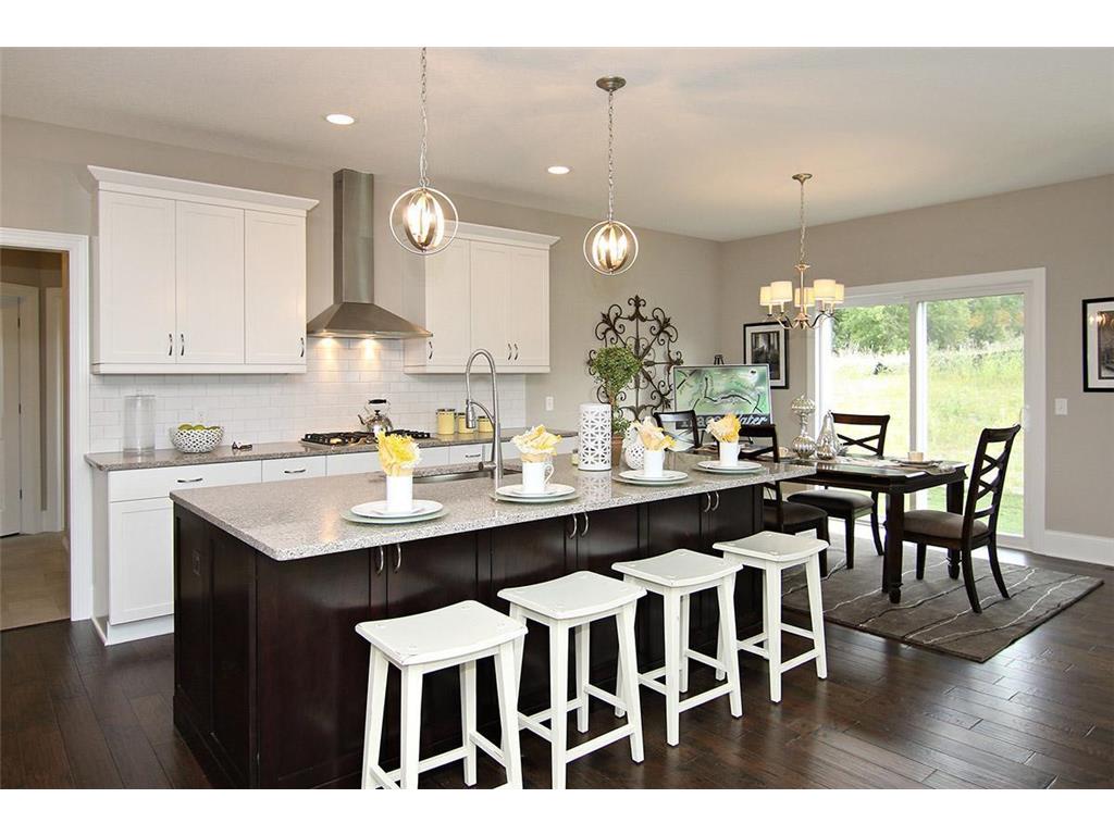 19587 Hammock Avenue Lakeville MN 55044 6716761 image2