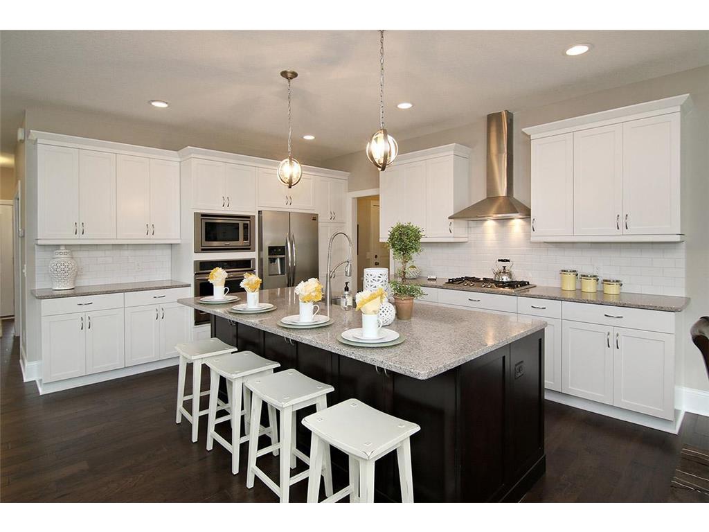 19587 Hammock Avenue Lakeville MN 55044 6716761 image3