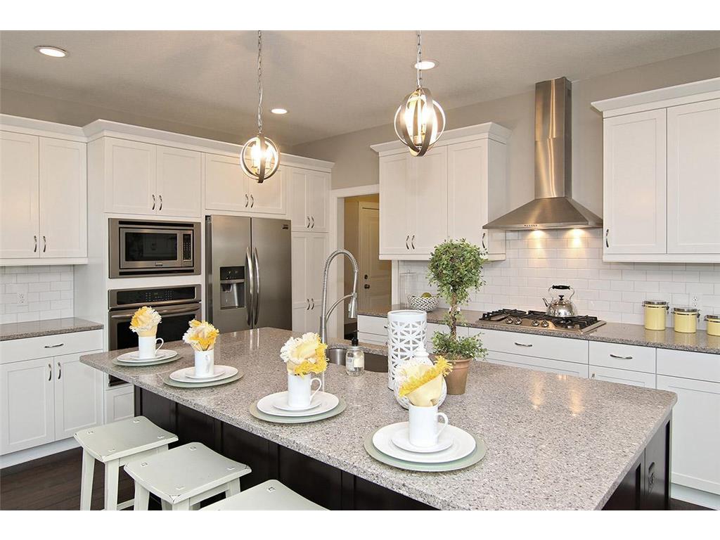 19587 Hammock Avenue Lakeville MN 55044 6716761 image5