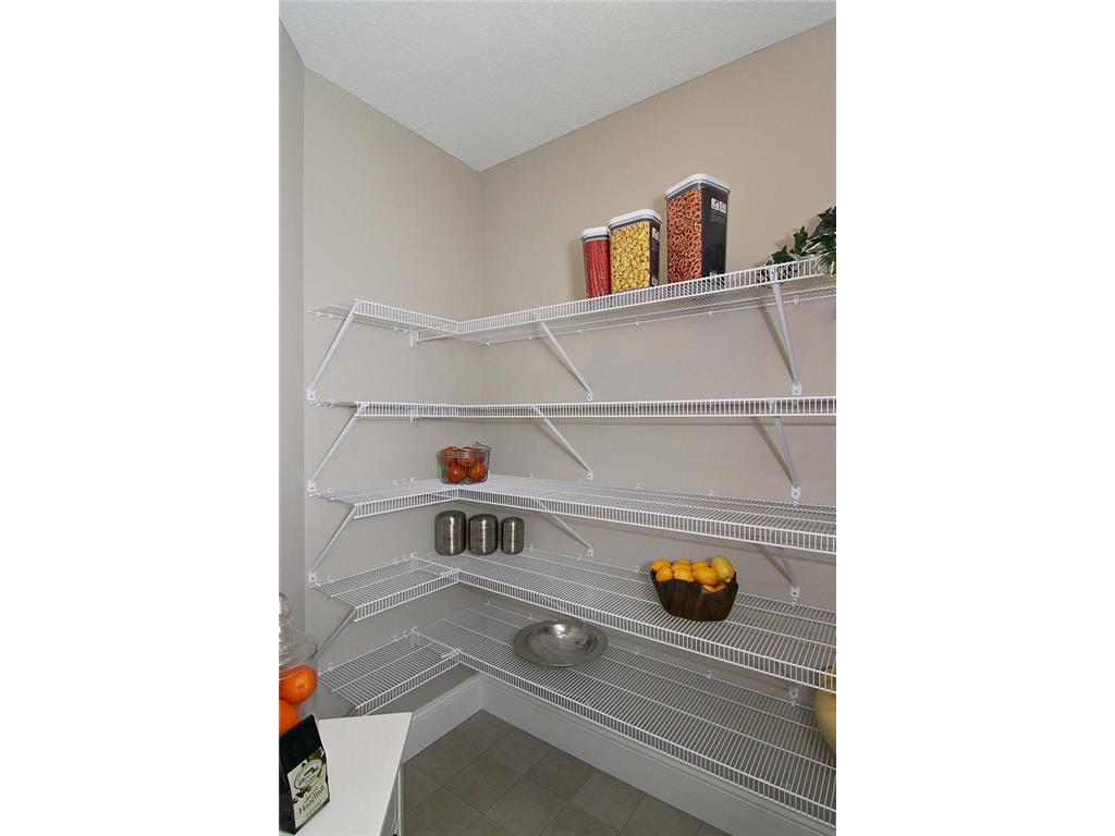 19587 Hammock Avenue Lakeville MN 55044 6716761 image6