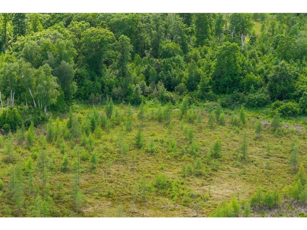 19589 Nokay Lake Road Deerwood MN 56444 7063260 image24