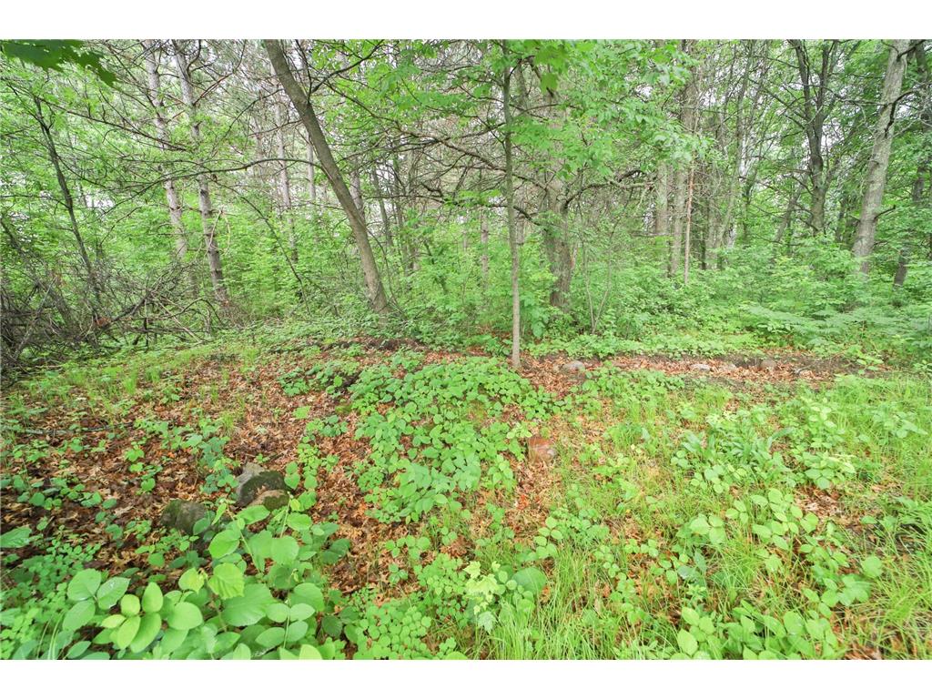 19589 Nokay Lake Road Deerwood MN 56444 7063260 image37