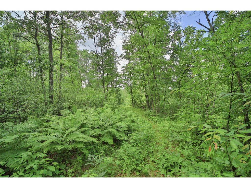 19589 Nokay Lake Road Deerwood MN 56444 7063260 image38
