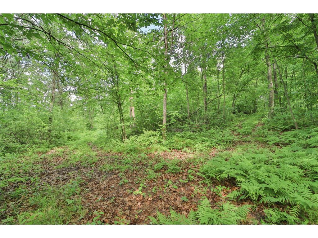 19589 Nokay Lake Road Deerwood MN 56444 7063260 image39