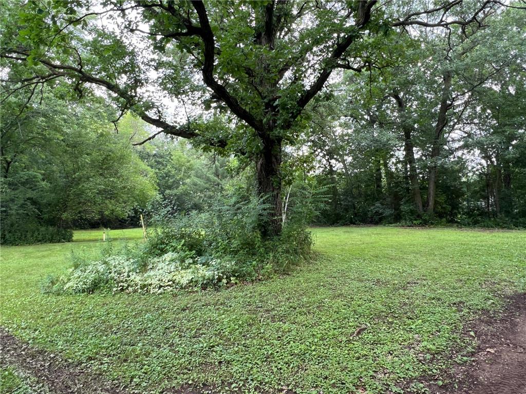 19599 Dunes Drive NE Pine City MN 55063 6761149 image4