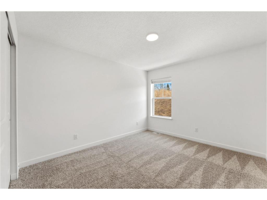 196 Huntington Drive Waconia MN 55387 7043003 image10