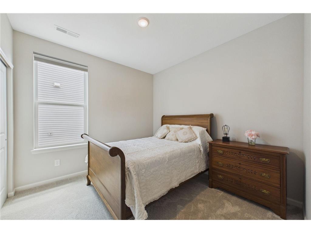 196 Liberty Heights Drive Chaska MN 55318 7102353 image19
