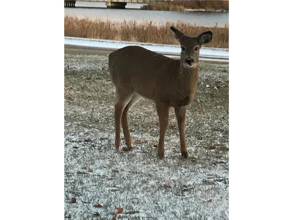 1960 Long Bridge Road Detroit Lakes MN 56501 - Curfman 7022187 image36