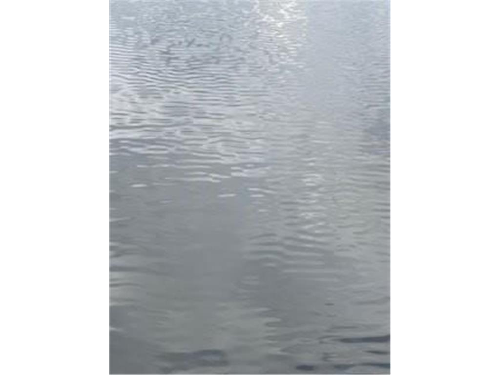 19600 612th Avenue Litchfield MN 55355 - Minnie-Belle 6527860 image1