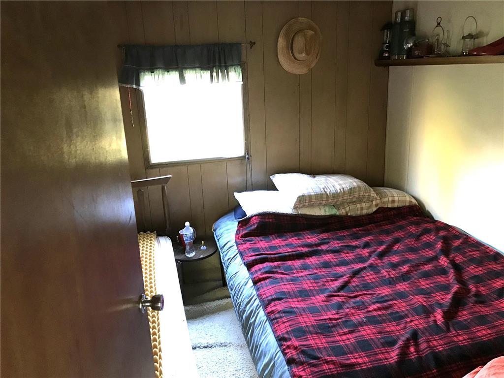 1961 Town Road 118 Birchdale MN 56629 6643282 image10