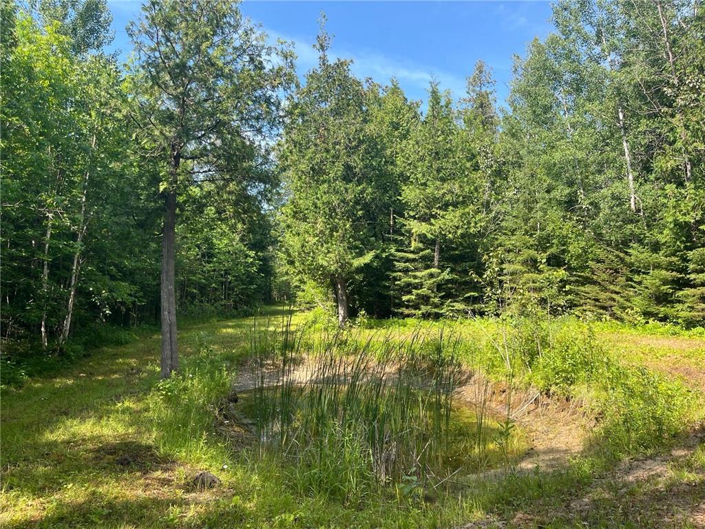 1961 Town Road 118 Birchdale MN 56629 6643282 image16