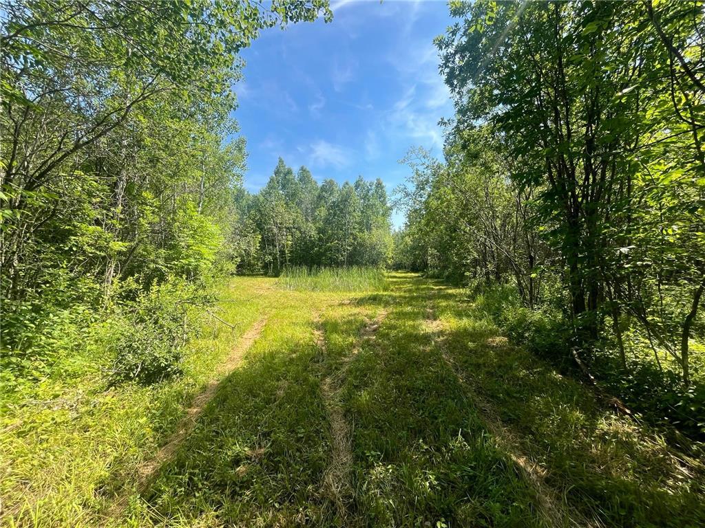 1961 Town Road 118 Birchdale MN 56629 6643282 image17