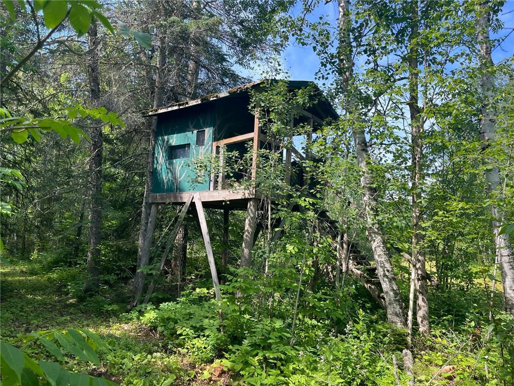 1961 Town Road 118 Birchdale MN 56629 6643282 image19