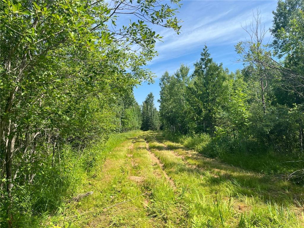 1961 Town Road 118 Birchdale MN 56629 6643282 image2