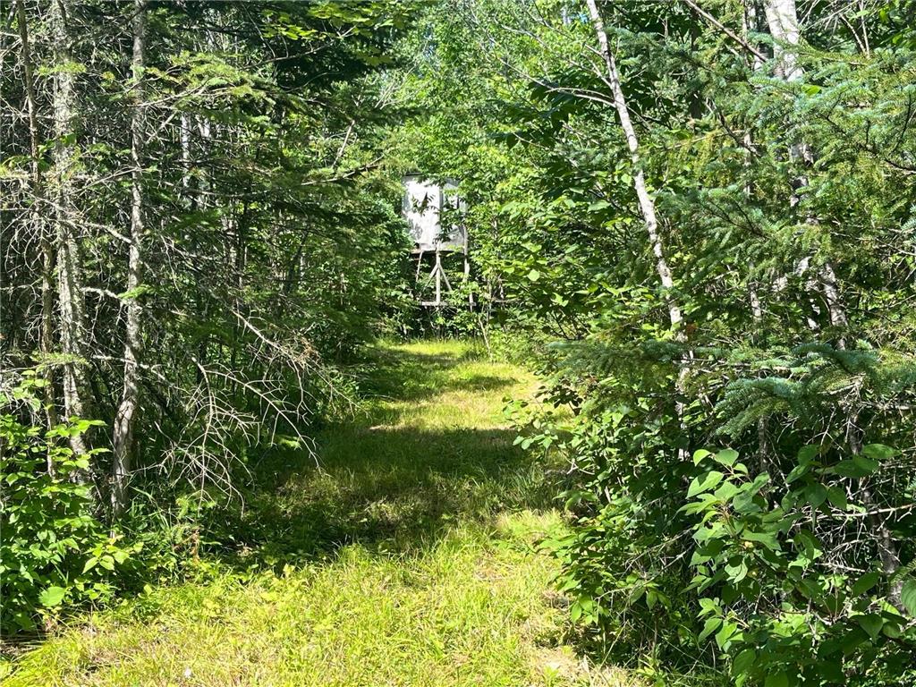 1961 Town Road 118 Birchdale MN 56629 6643282 image20