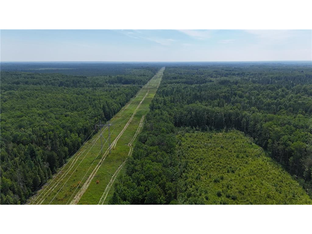 1961 Town Road 118 Birchdale MN 56629 6643282 image32