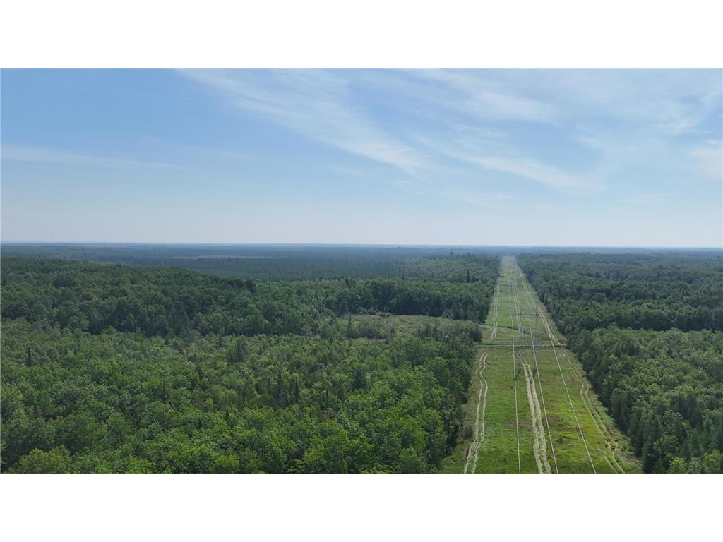 1961 Town Road 118 Birchdale MN 56629 6643282 image33