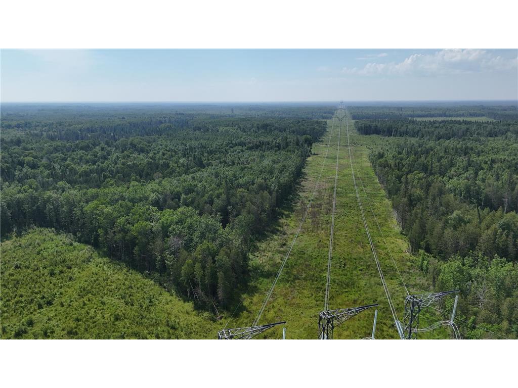 1961 Town Road 118 Birchdale MN 56629 6643282 image34