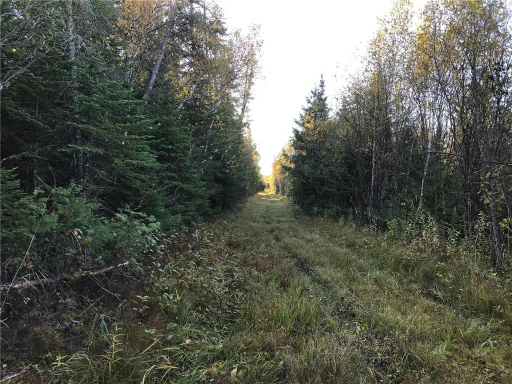 1961 Town Road 118 Birchdale MN 56629 6643282 image36