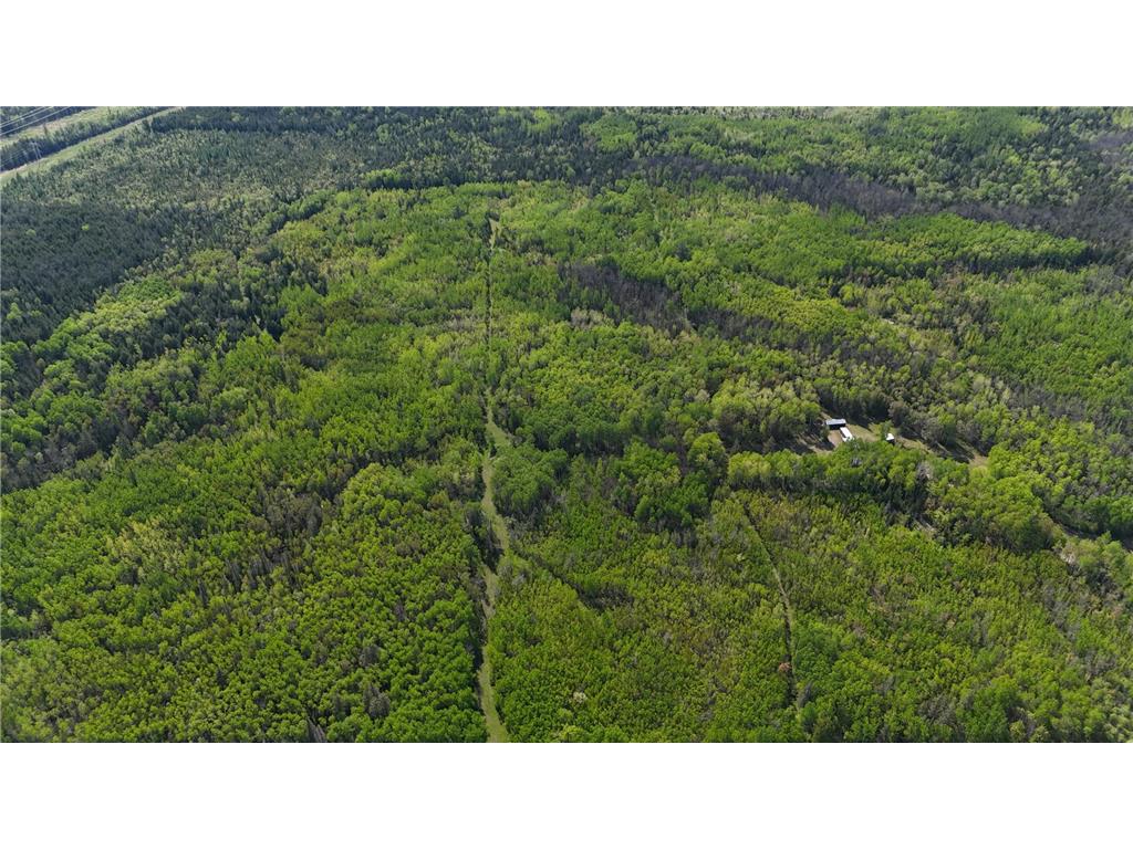 1961 Town Road 118 Birchdale MN 56629 6643282 image40