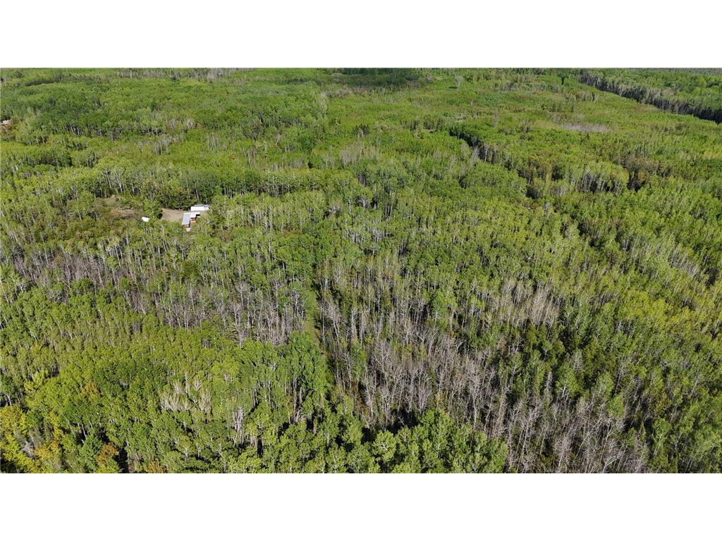 1961 Town Road 118 Birchdale MN 56629 6643282 image41