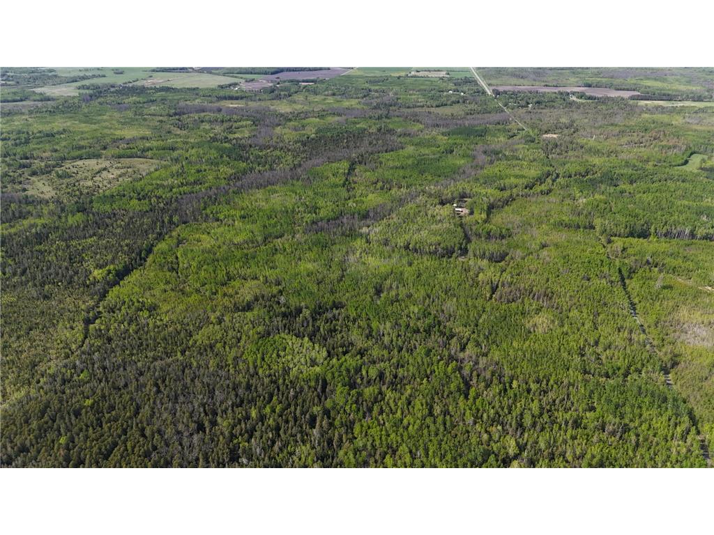 1961 Town Road 118 Birchdale MN 56629 6643282 image43