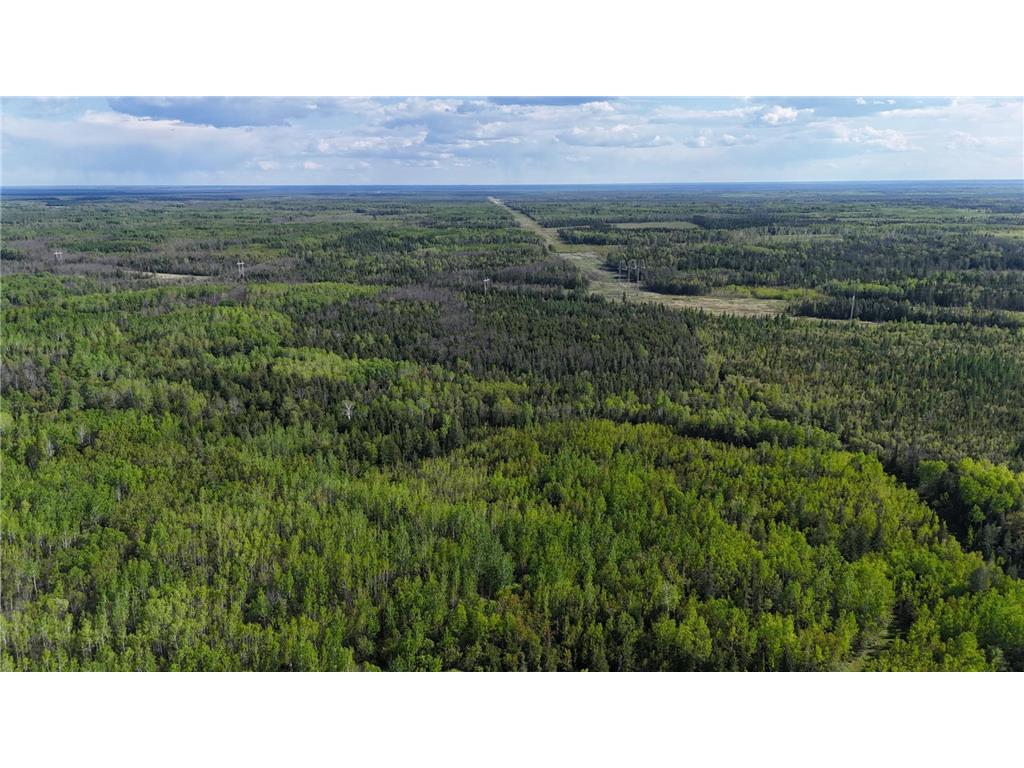 1961 Town Road 118 Birchdale MN 56629 6643282 image45