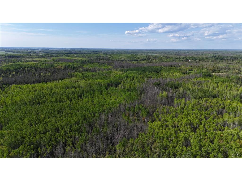 1961 Town Road 118 Birchdale MN 56629 6643282 image47