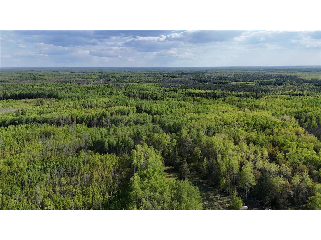 1961 Town Road 118 Birchdale MN 56629 6643282 image48