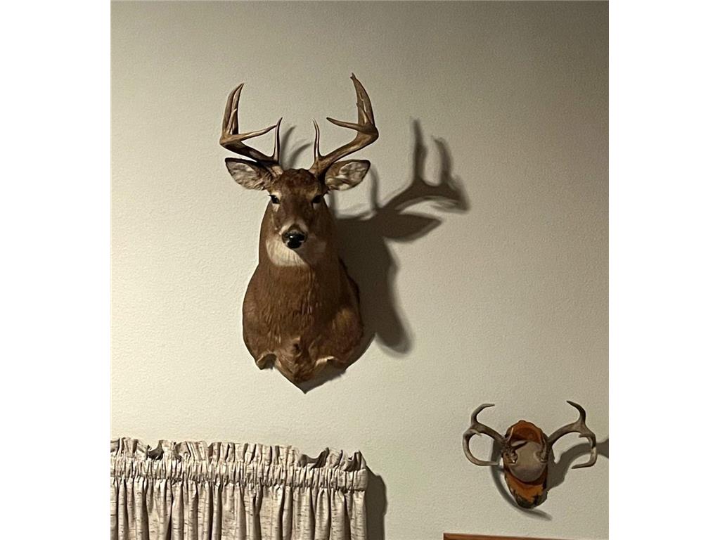 1961 Town Road 118 Birchdale MN 56629 6643282 image49