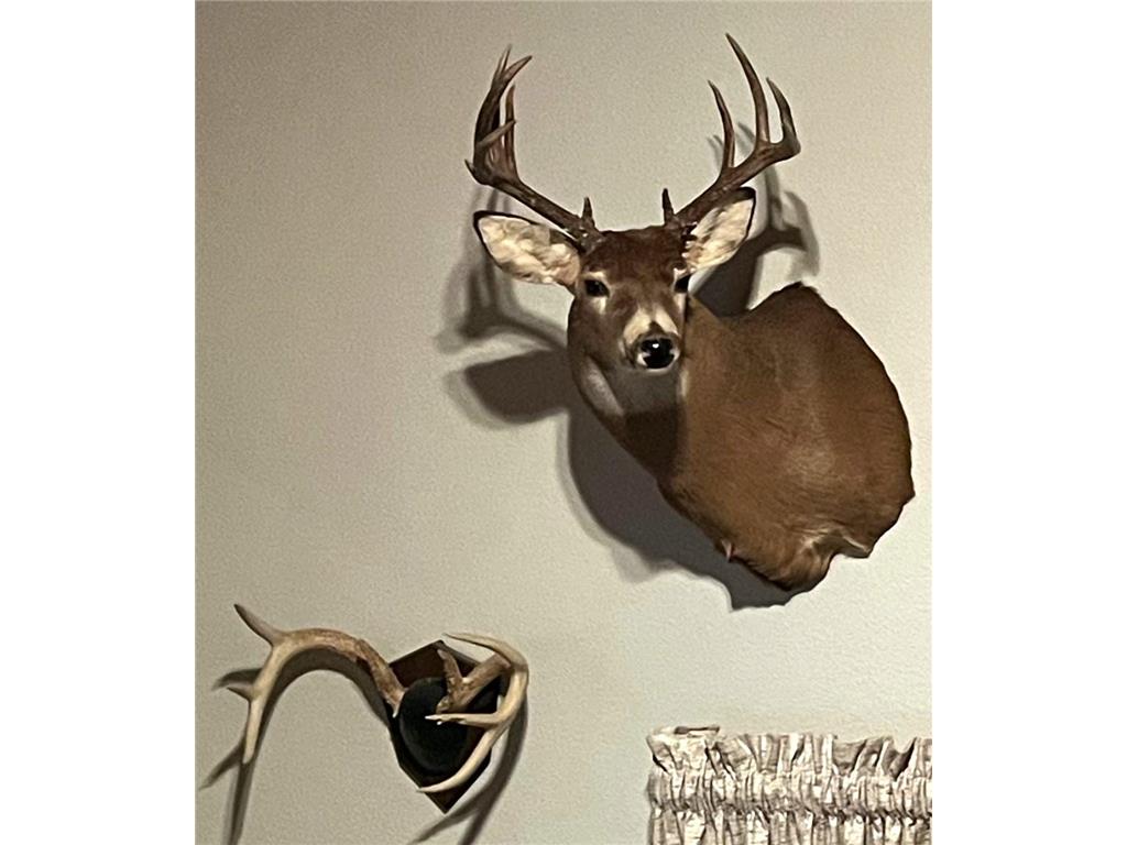 1961 Town Road 118 Birchdale MN 56629 6643282 image50