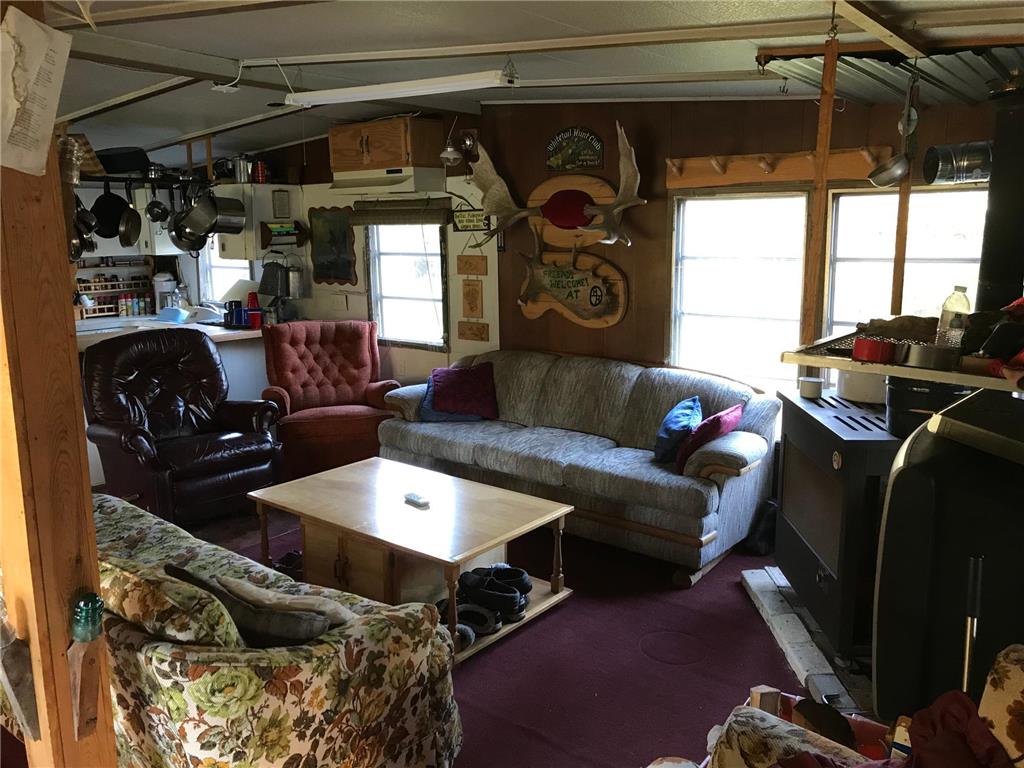 1961 Town Road 118 Birchdale MN 56629 6643282 image7