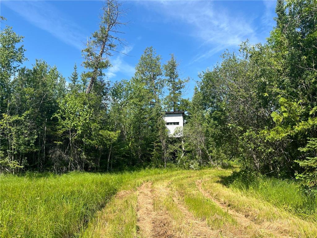 1961 Town Road 118 Birchdale MN 56629 7063831 image15