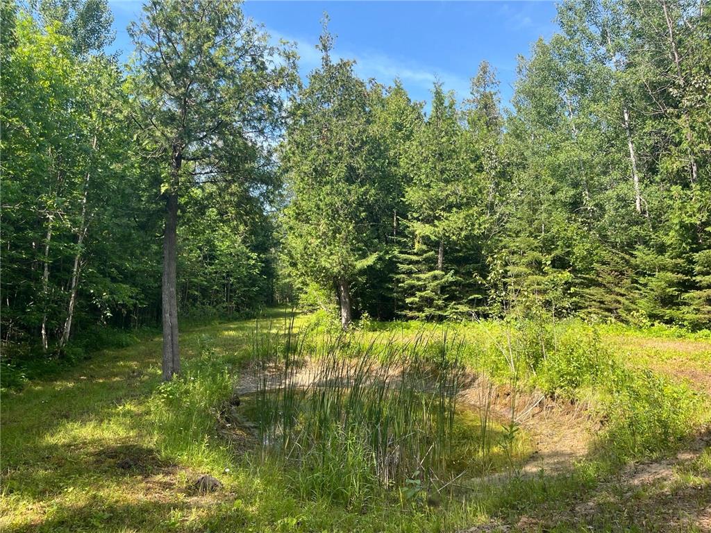 1961 Town Road 118 Birchdale MN 56629 7063831 image16